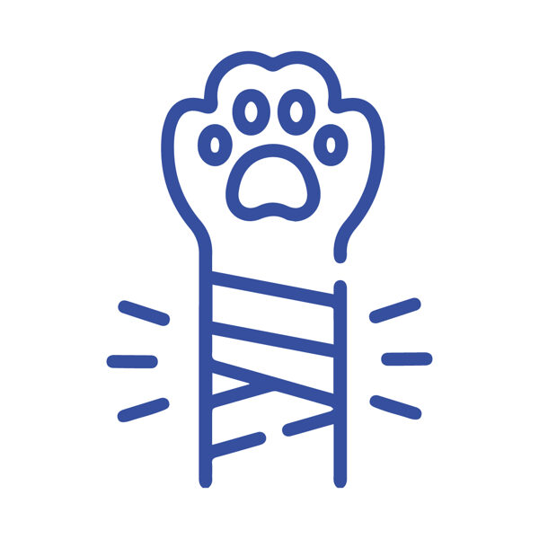 Костно-мышечная система