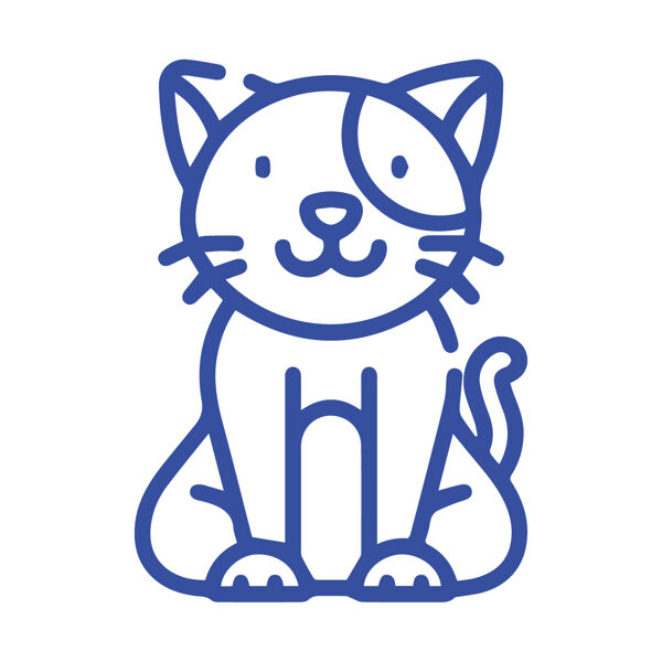 Органы чувств