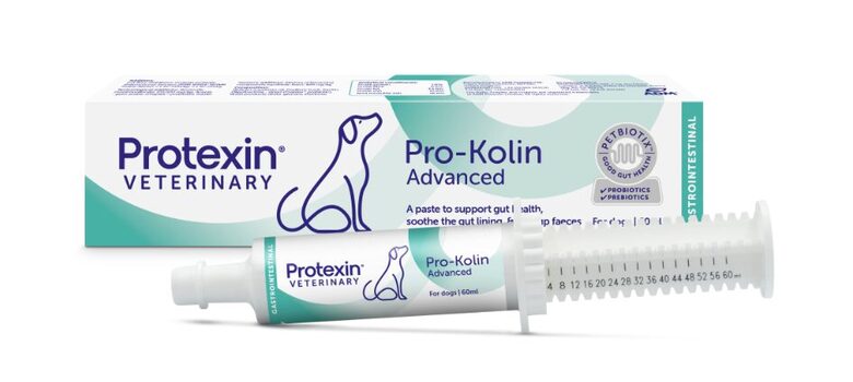PRO-KOLIN ADVANCED DOG PASTA 60ML SUŅIEM