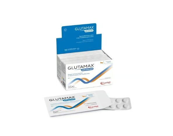 GlutaMax Advanced tabletes N10 (10/120)