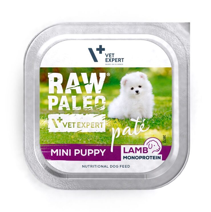 RAW PALEO KUCĒNU PASTĒTE MINI JĒRS 150G