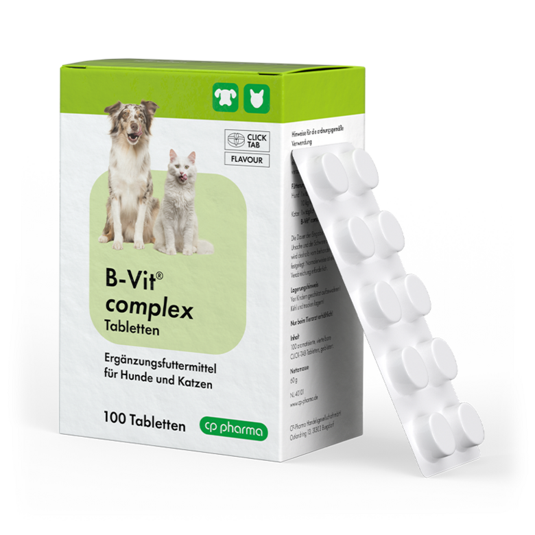 B-Vit complex, tab N10 (10/100)