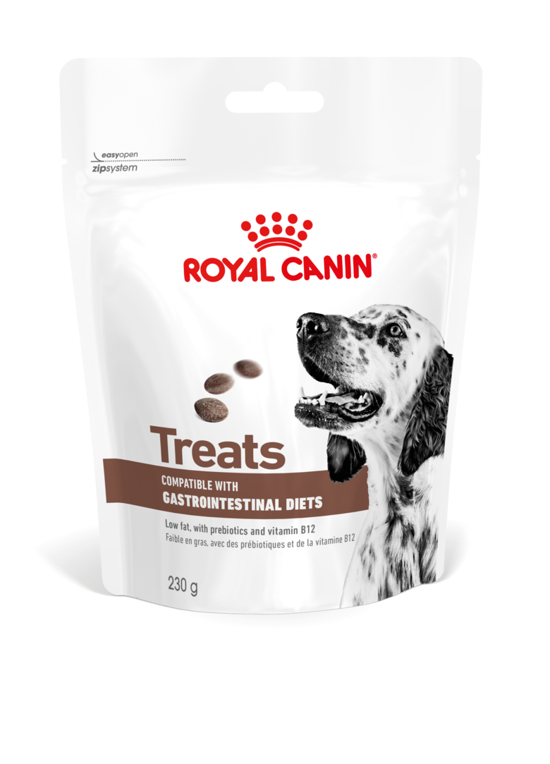 Royal Canin Dog Gastrointestinal Treats 230g