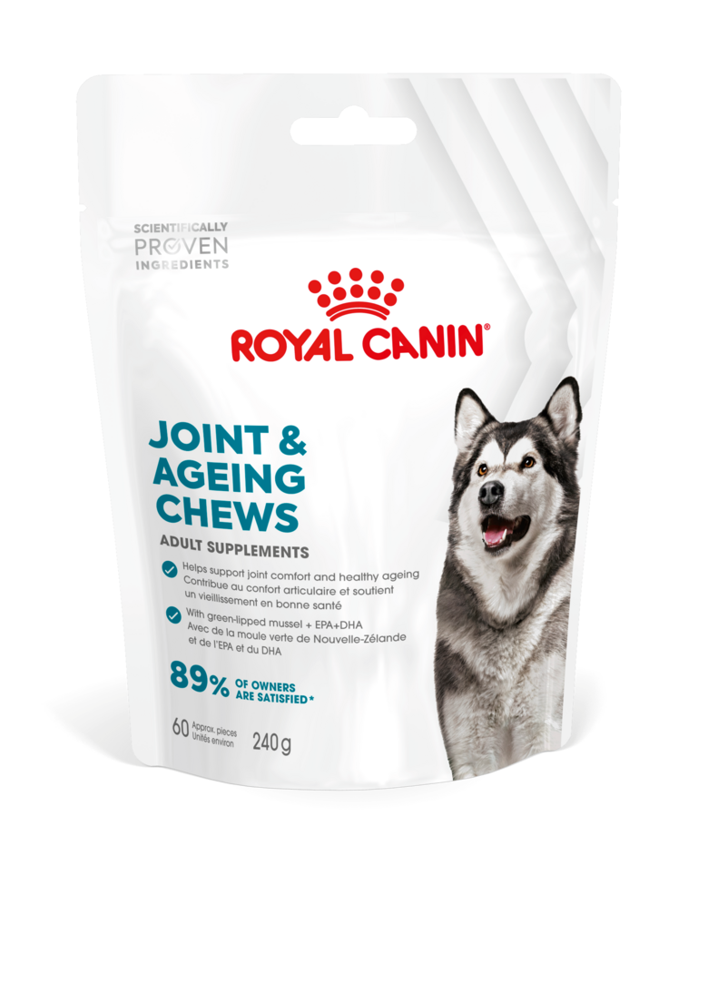 Royal Canin JOINT&AGEING ADULT DOG SUPPLEMENTS 240G