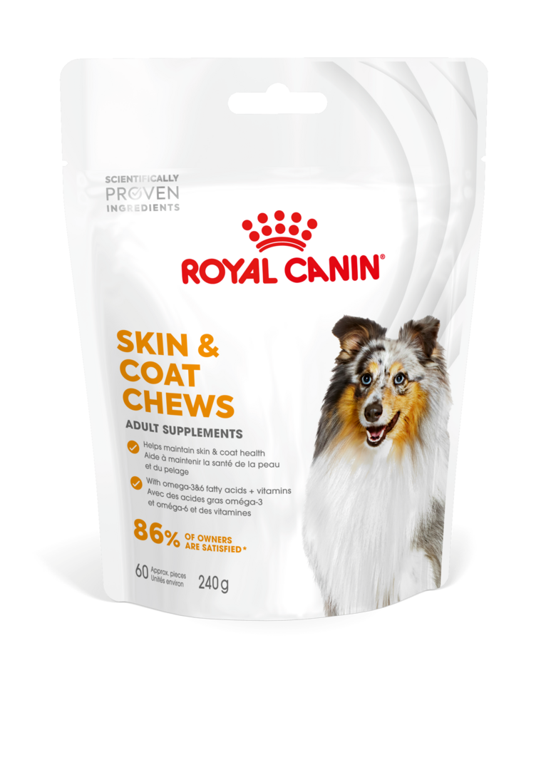 Royal Canin SKIN & COAT ADULT DOG SUPPLEMENTS 240G