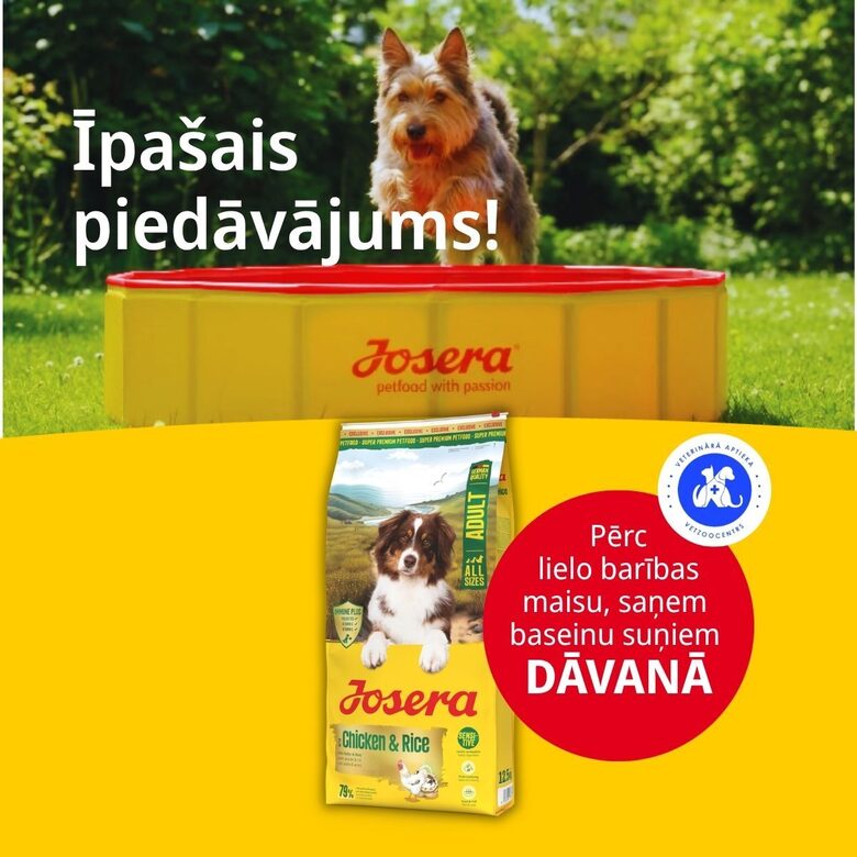 Josera Adult with Chicken&Rice 12.5 kg (Poultry-Menu)