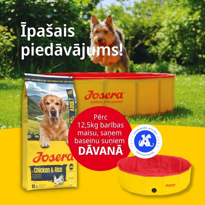 Josera SP suņiem M/M Adult with Chicken&Rice 12.5 kg (Large Breed)
