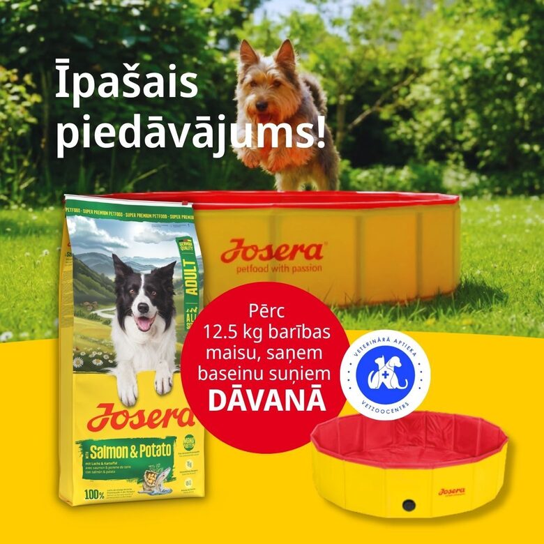 Josera SP suņiem A/S Adult with Salmon&Potato 12.5 kg