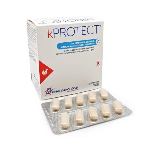 kPROTECT N10 (10/120)