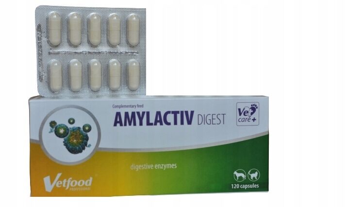 Amylactiv Digest N10 (10/120)