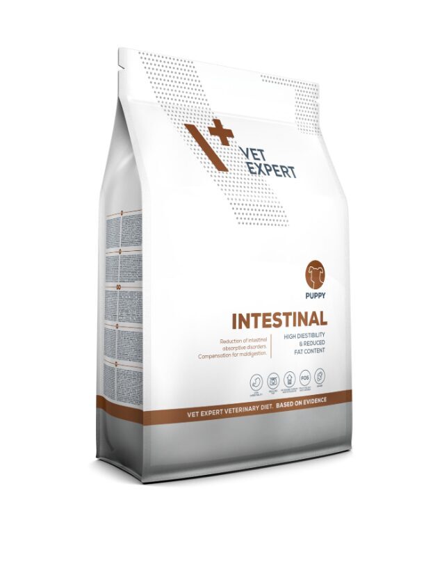 4T VD KUCĒNU INTESTINAL SAUSĀ B 2KG
