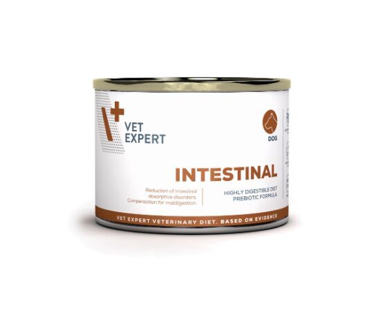 4T VD KUCĒNU INTESTINAL KONS 200G