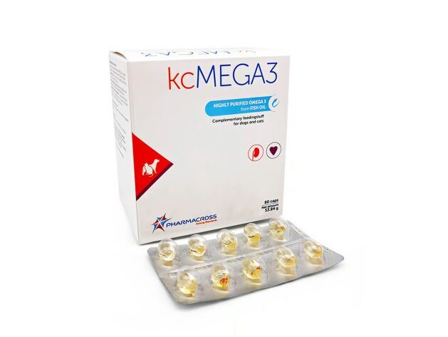 kcMEGA3 N90 ( ex N80 )