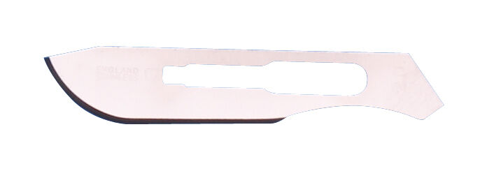 SKALPEĻA ASMENS NR20 STER KRUUSE N100 /141118