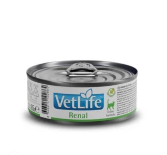 VET LIFE CAT RENAL 85G