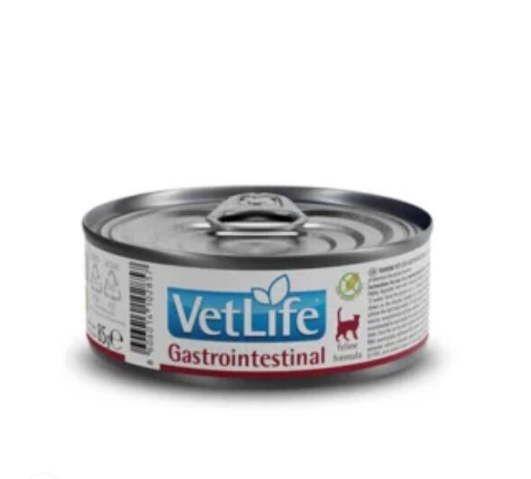 VET LIFE CAT GASTROINTESTINAL 85G