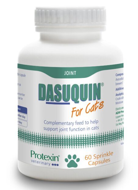 DASUQUIN KAPS KAĶIEM N60