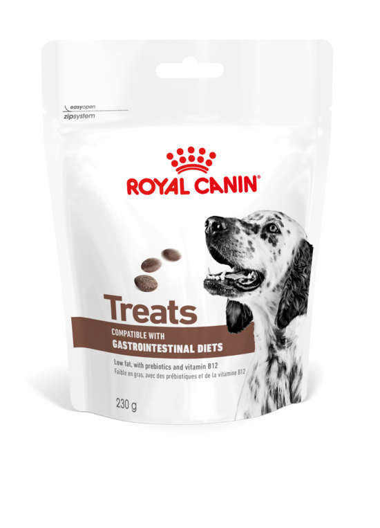 Royal Canin Dog Gastrointestinal Treats 230g