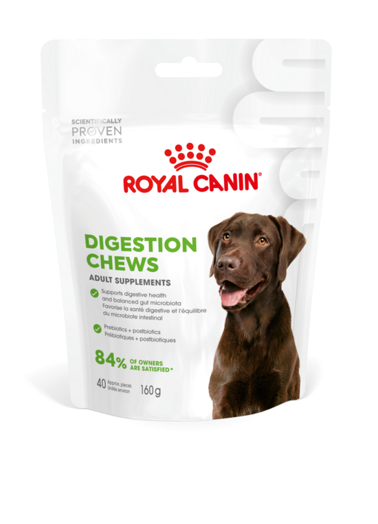Royal Canin DIGESTION ADULT DOG SUPPLEMENTS 160G