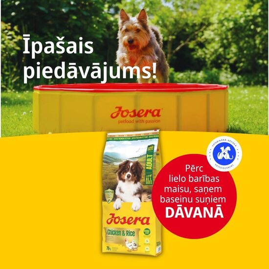 Josera Adult with Chicken&Rice 12.5 kg (Poultry-Menu)