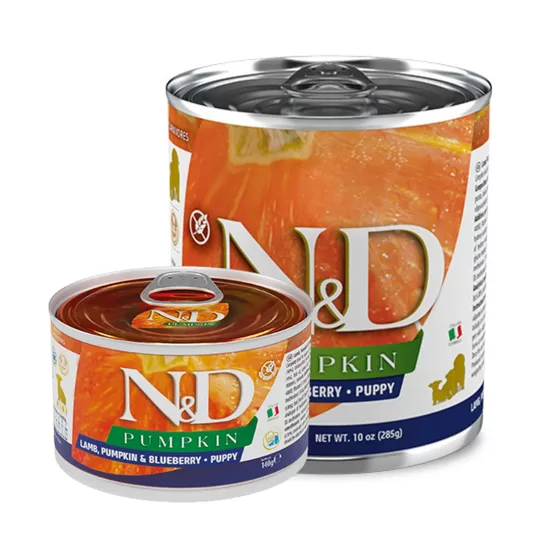 N&D DOG PUMPKIN LAMB BLUEBERRY PUPPY 285G