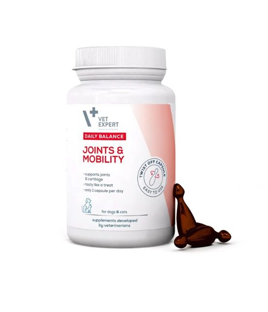 JOINTS&MOBILITY SUŅI/KAĶI N50 Vet Expert