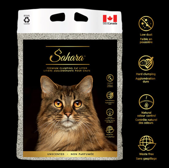 SAHARA Cat Litter Unscented 10kg