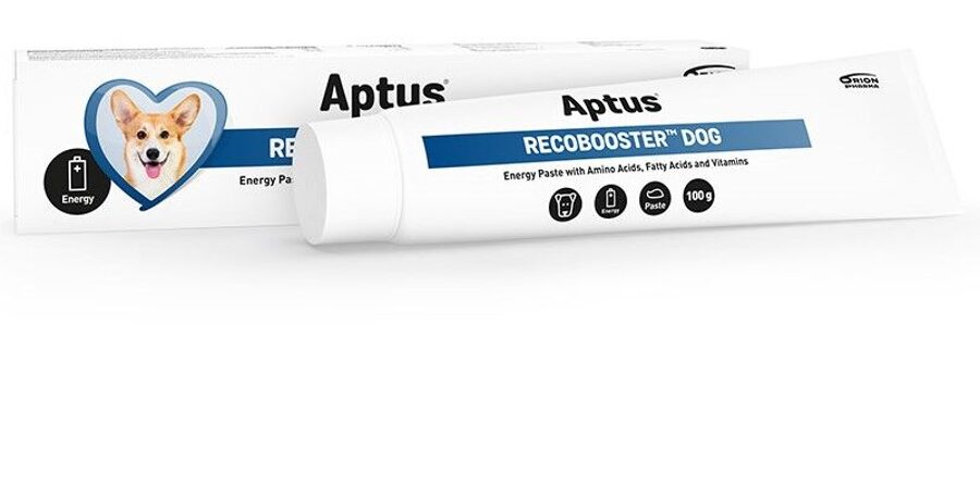 APTUS RECOBOOSTER DOG 100G