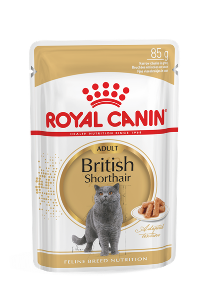 Royal Canin British Shorthair 12x85g