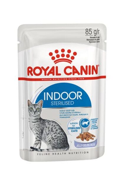Royal Canin INDOOR in Jelly 12x85g
