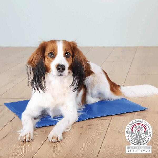 Trixie Cooling mat 65 x 50cm blue - Atsvaidzinošs paklājs dzīvniekiem