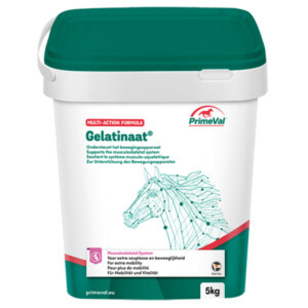 PrimeVal Gelatinaat Horse 5 KG