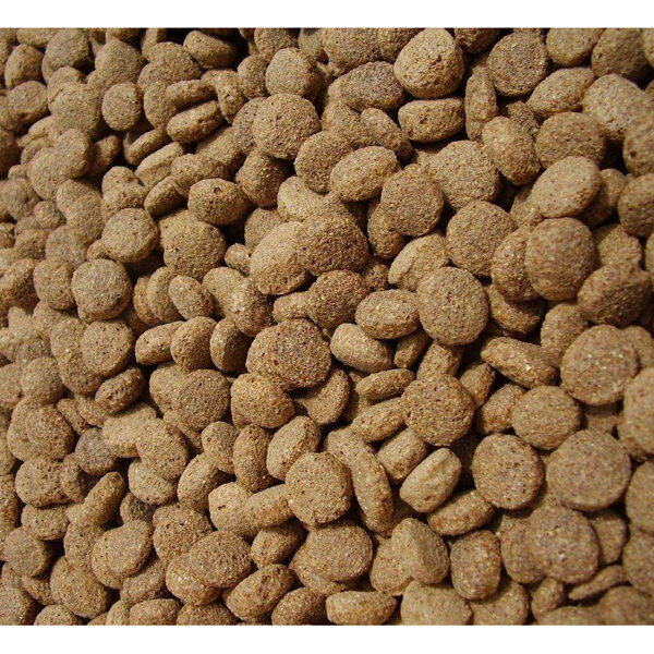 Dog Family with lamb and rice 15kg