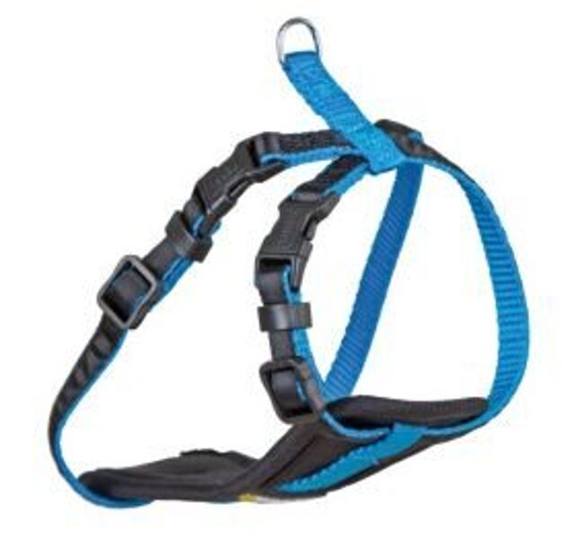 	KERBL IEMAUKTI SUŅU XS 10MM 23-38CM NEONA ZILI /81064
