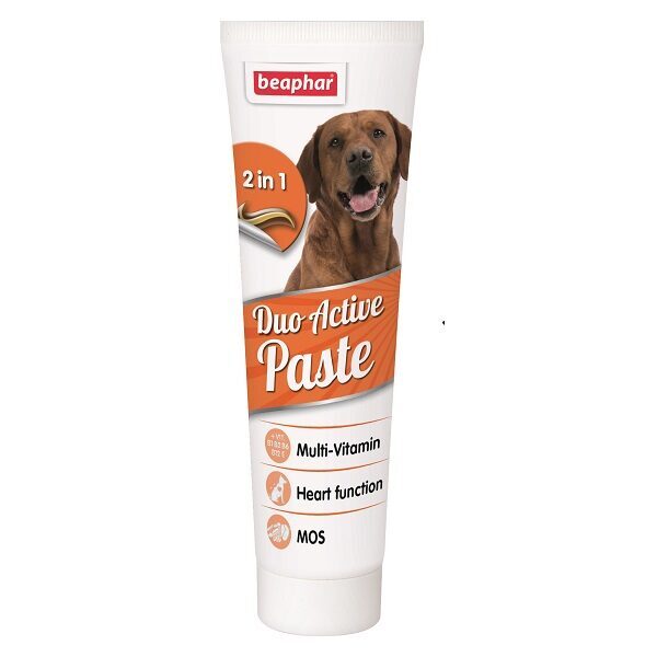 Beaphar Duo-Active Paste for dogs 100g