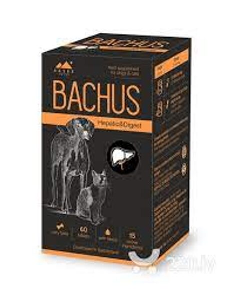 BACHUS Hepatica&Digest tab.N60