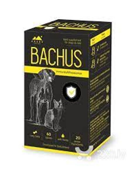BACHUS Immunity&Resistance tab.N60