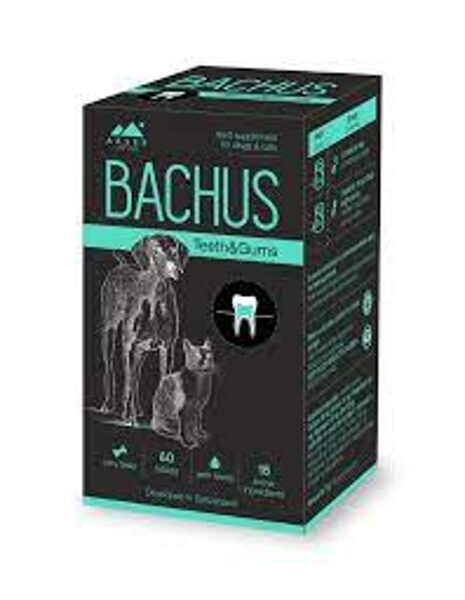 BACHUS Teeth&Gums tab.N60