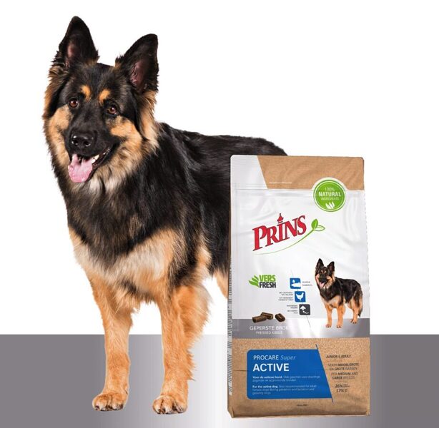 Prins ProCare Super ACTIVE 3kg