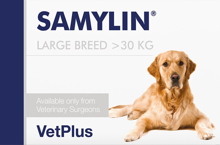 SAMYLIN Large breed tabletes suņiem N30