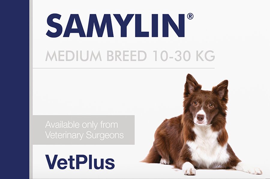 SAMYLIN Medium breed tabletes suņiem N30