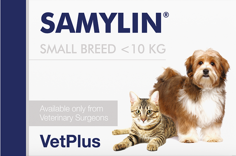 SAMYLIN Small breed tabletes suņiem un kaķiem N30