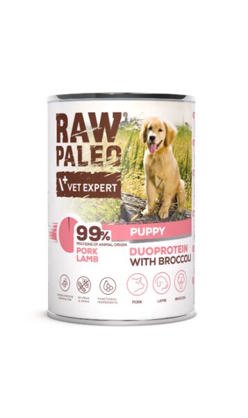 RAW PALEO KUCĒNU KONS CŪKGAĻA/JĒRS 400G