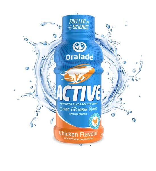 ORALADE ACTIVE 250ML AR VISTAS GARŠU