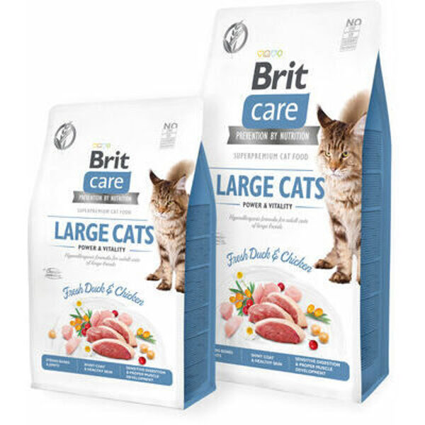  Brit Care Cat GF Large cats Power & Vitality 7 kg