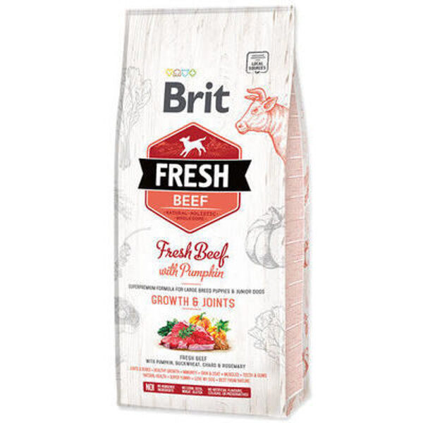 Brit Fresh Beef with Pumpkin Puppy Large 12 kg