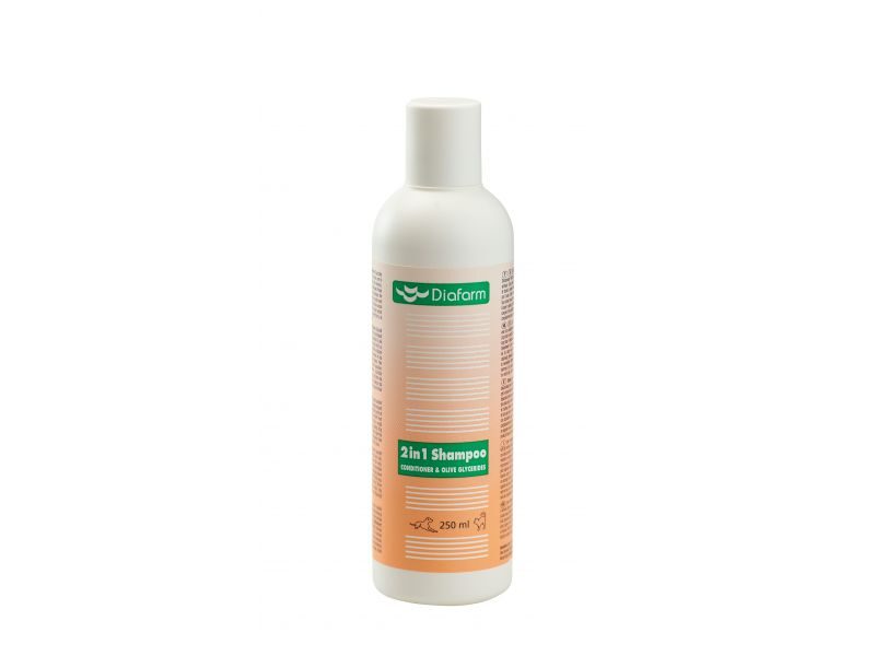 DF SHAMPOO 2 IN 1 250ML