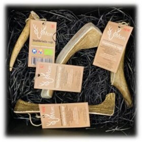 	MORE SUŅU ROTAĻL GRAUŽAMA BRIEŽA RAGS S (15-30G)