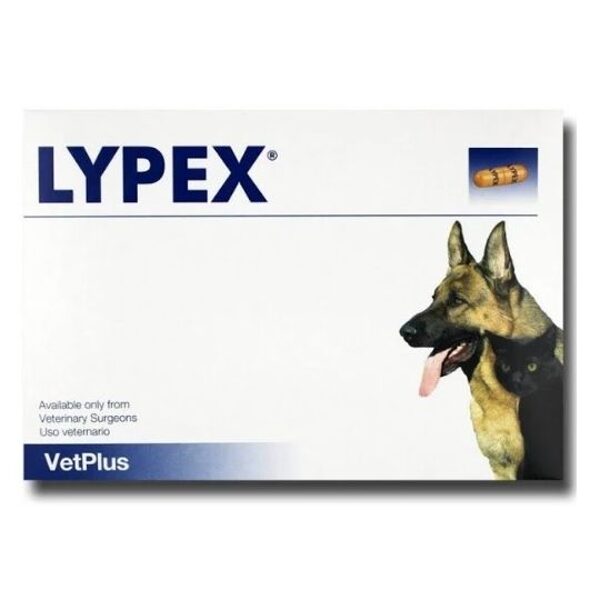 LYPEX kapsulas suņiem un kaķiem N60 