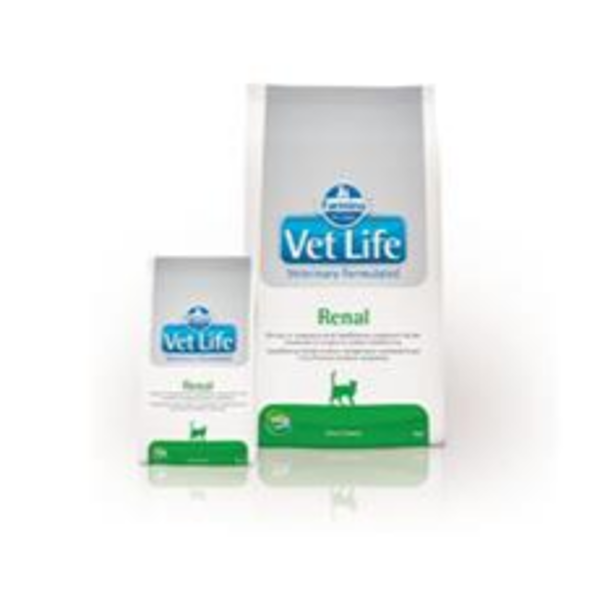 VET LIFE CAT RENAL 400G